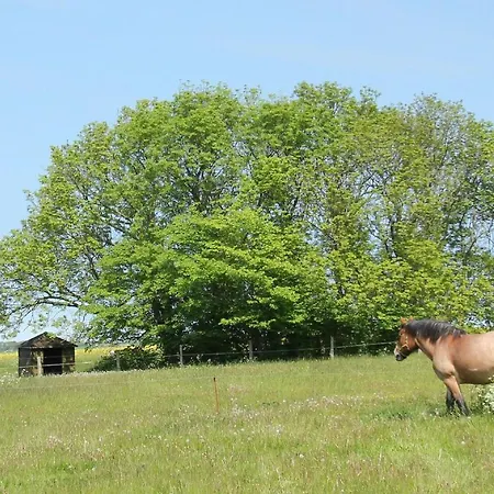 Haus Ostseesonne Haus - Terrasse, Garten, Sauna * Klein Gelm