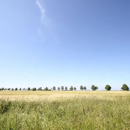 Casa de Férias Haus Ostseesonne Haus - Terrasse, Garten, Sauna Klein Gelm